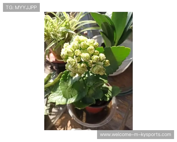 赛前浇水的水量控制：太湿会滑太干会硬，浇水比赛可以并列第一吗